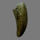 Thumbnail: Madagascan theropod tooth 