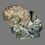 Thumbnail: Scaphites ammonite formation 