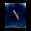 Thumbnail: Captorhinus reptile bone 
