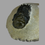 Thumbnail: Crotalocephalus trilobite no2 