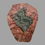 Thumbnail: Mahoumacrinus Crinoid 