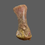 Thumbnail: Theropod limb bone no1