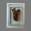 Thumbnail: Unidentified pterosaur bone fragment no3 