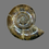 Thumbnail: Polished Madagascan ammonite on display stand 