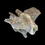Thumbnail: Cretaceous crocodile vertebra 
