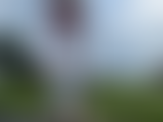 From MATS to Corvette Bash: April Is Just Getting Started