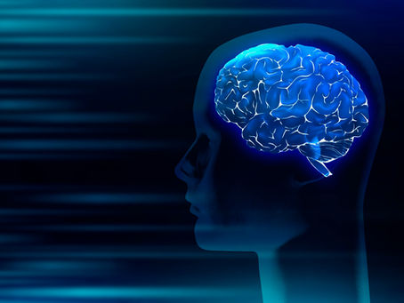 What is Neurodiversity?