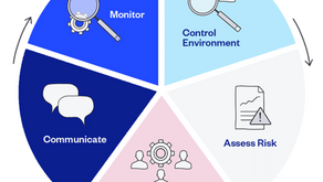 22 Balance Sheet Internal Controls