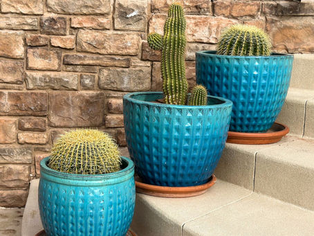 2026 PGSU Garden Story: Kolene