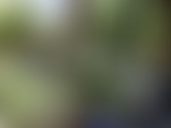 2026 PGSU Garden Story: Roxanne