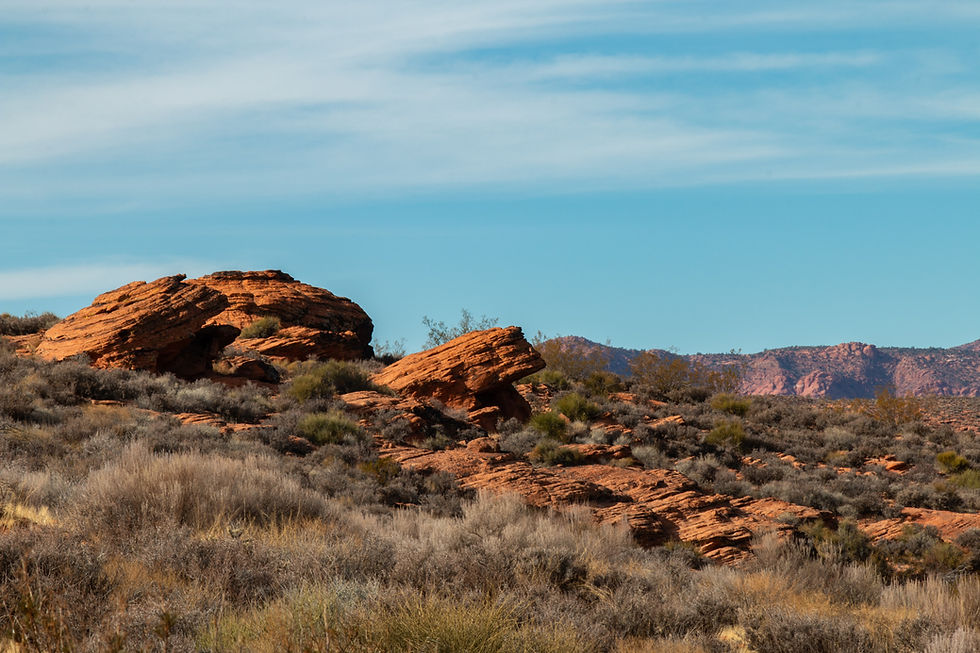 VOLUNTEER: National Public Lands Day