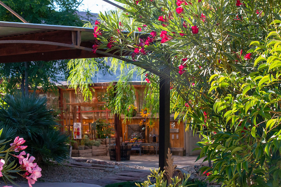 PGSU Garden Story: Cril & Mark