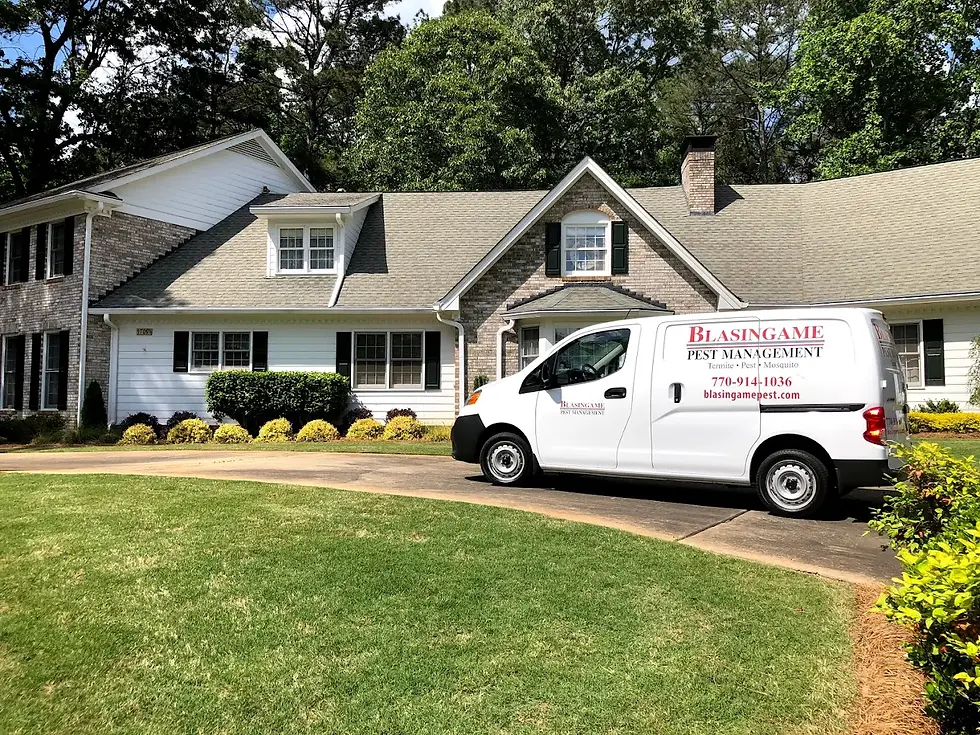 Year-Round Pest Control in Griffin, GA: Why Consistency Protects Your Spalding County Home