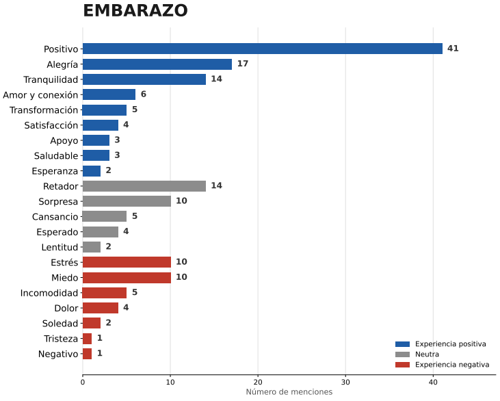 El embarazo contado por las madres