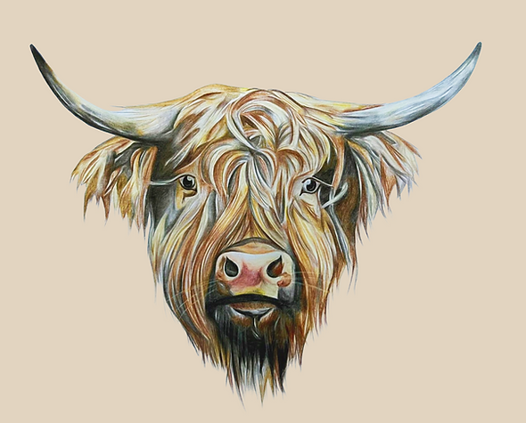 cow.png