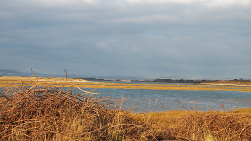 ChiHarbour&Downs.JPG