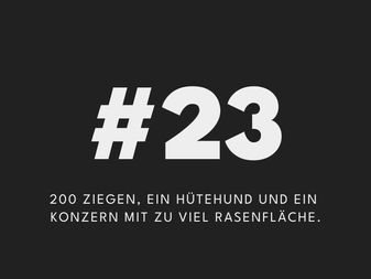 200 Ziegen, ein Hütehund und ein Konzern mit zu viel Rasenfläche.