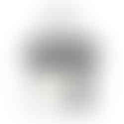 210228-spritzlane-products-9