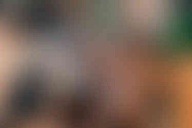 201103-greenroof-melb-cup-32