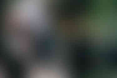 220716-curious-legends-stingray-34