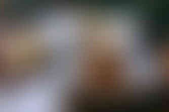 200806-autumn-rooms-12
