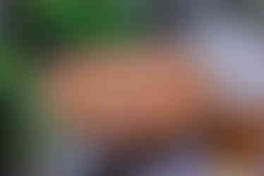 220916-regal-burger-pizza-pasta-7