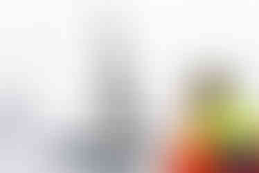 250331-sail-port-stephens-25