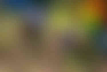 210602-nuatali-tree-planting-9