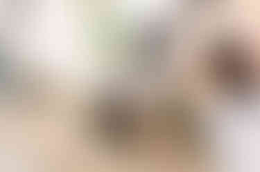 210124-top-shelf-inner-city-7