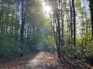 De 7 principes van mindfulness