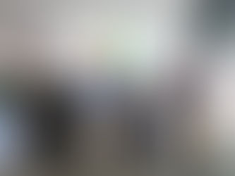 Friendly Visit by Windsor Collection