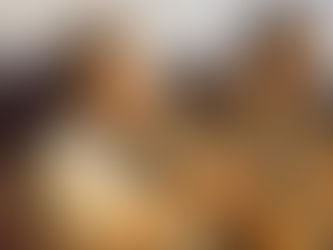 Briefing Session with the Medical and Insurance Provider