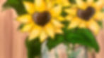 Jar of Sunshine