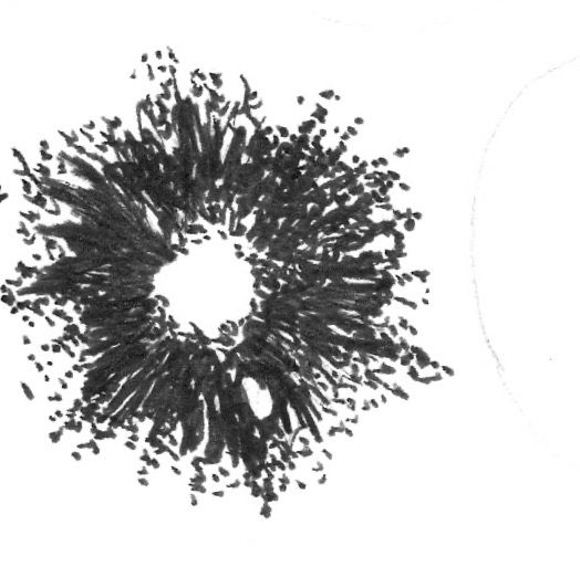 sporeprint 5
