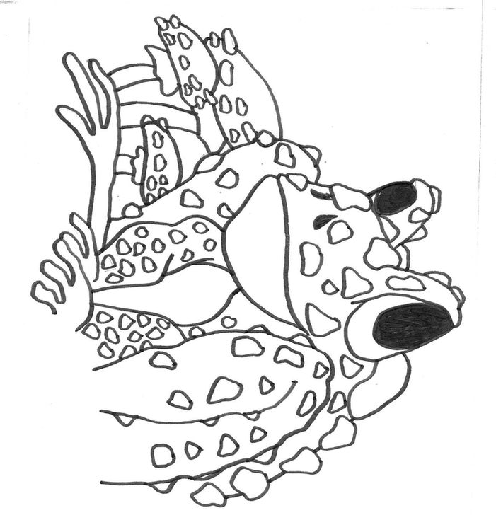 toad