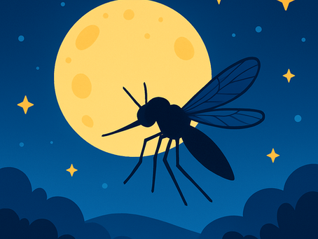 夜の静かな寝室に月明かりが差し込む中、蚊が飛んでいる様子を描いたイラスト。蚊の夜間行動を象徴する情景。