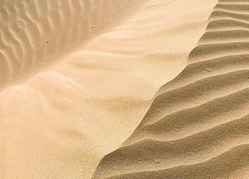 anastasiia-malai-1Xa9Ra3iMws-unsplash.jpg