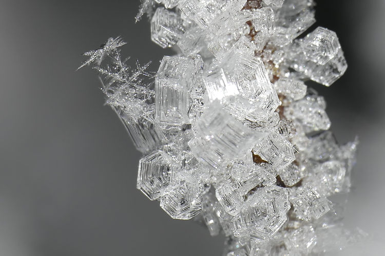 _4080491-min.JPG