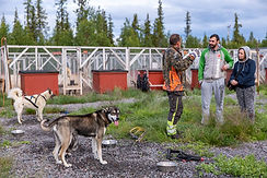 P1144293-min.jpg