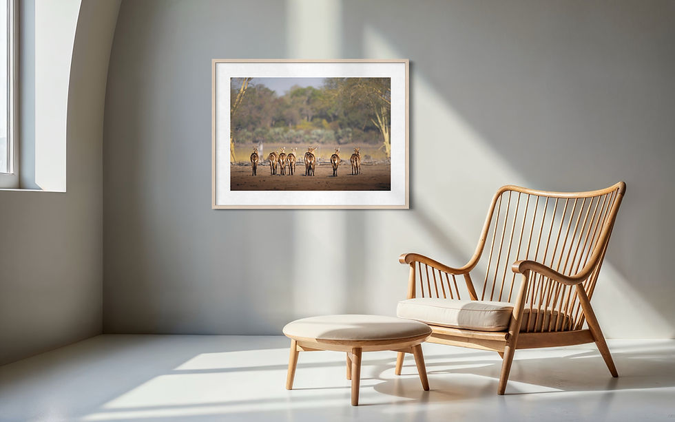 Thumbnail: Showing off_Hahnemühle Photorag