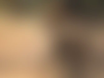 lion male looks over his shoulder in golden morning light gonarezhou