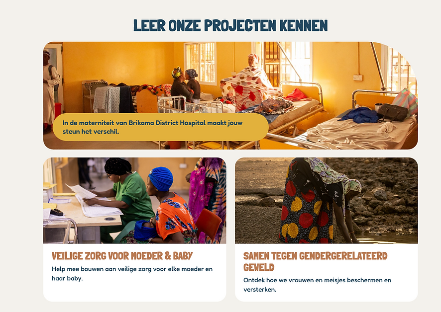 Wix-afbeelding 3 · Projecten_1x.png