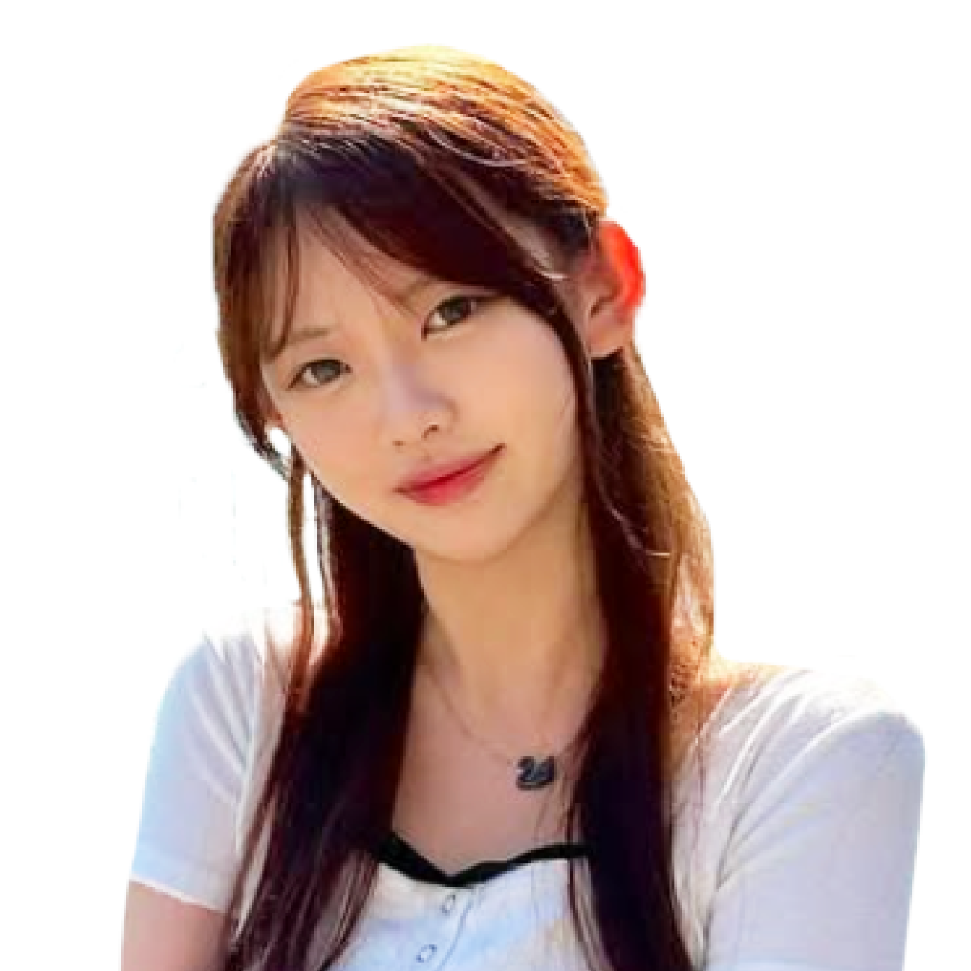Hong Kong Biology Tutor