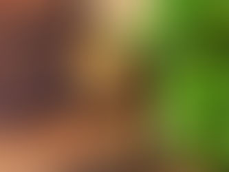 Coriander… The Great Love Or Hate Debate