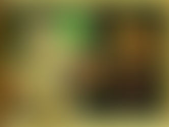 לזכור ולשכוח - 'ויהי מקץ'