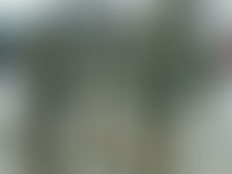 הפליט - פרשת כי תבוא