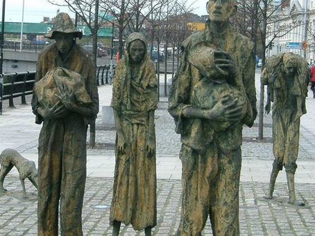 הפליט - פרשת כי תבוא