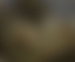 'ללכת ביחד להגיע לבד...' - 'לך לך'