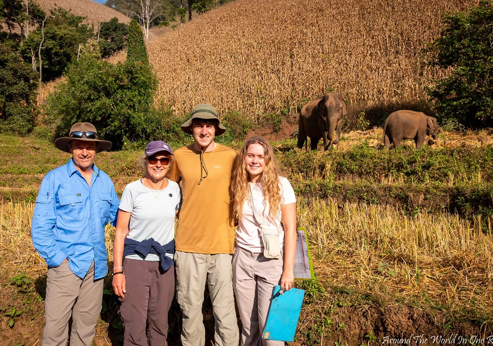Thumbnail: Volunteer with Elephants in Thailand - 1 Week