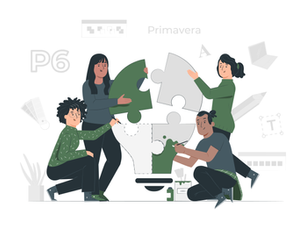 Cómo impulsar la colaboración con Primavera P6